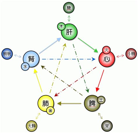 五行人格計算|快速瞭解你的五行屬性